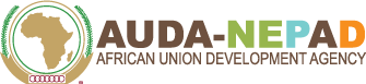 AUDA-NEPAD logo