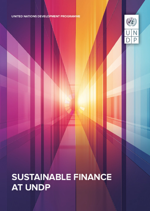 Sustainable Finance at UNDP