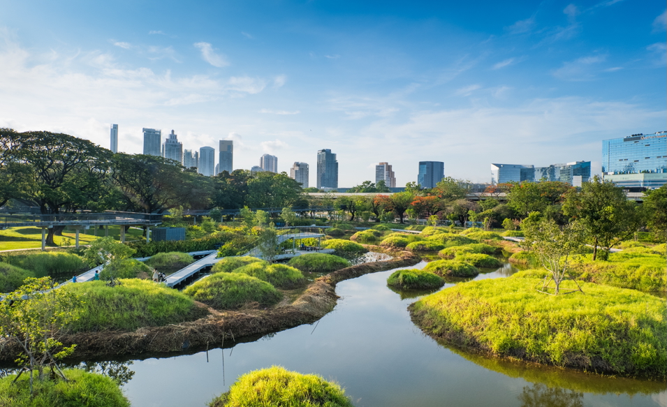 Landscape of a sustainable city