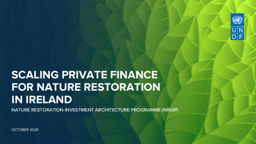 Scaling Private Finance for Nature Restoration in Ireland