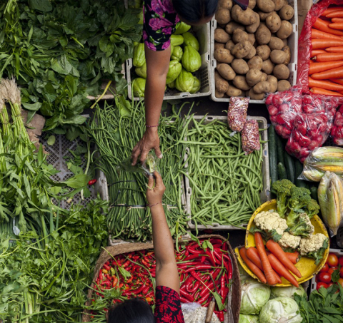 Indonesia becomes the first country in southeast Asia to issue an SDG bond