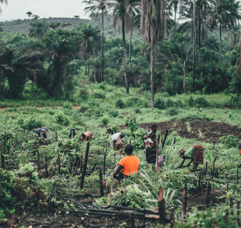 UNCDF and UNDP join forces to drive private capital into SDG priorities