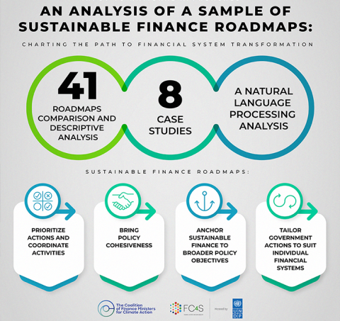 UNDP financial centres for sustainability and finance ministers for climate action analysis