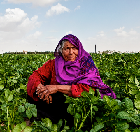 UNDP’s SDG Finance in the Arab States