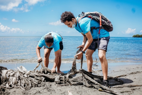 People cleaning the beach