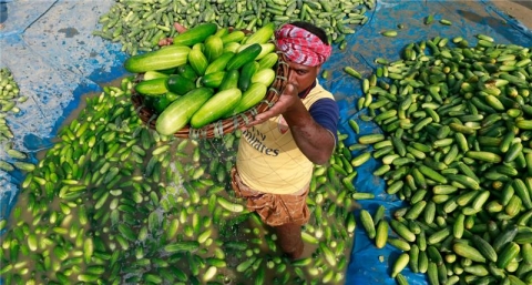 Person carrying food