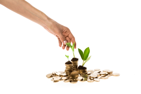 New shoots growing out of coins as a hand reaches for the leaves.