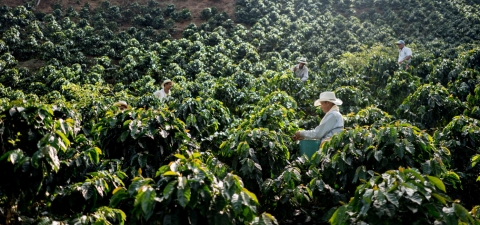 People on a field