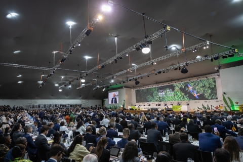 COP30