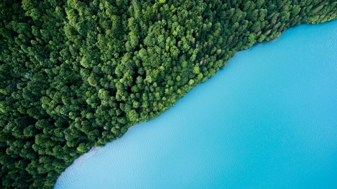 Top view of a blue lake and green shore