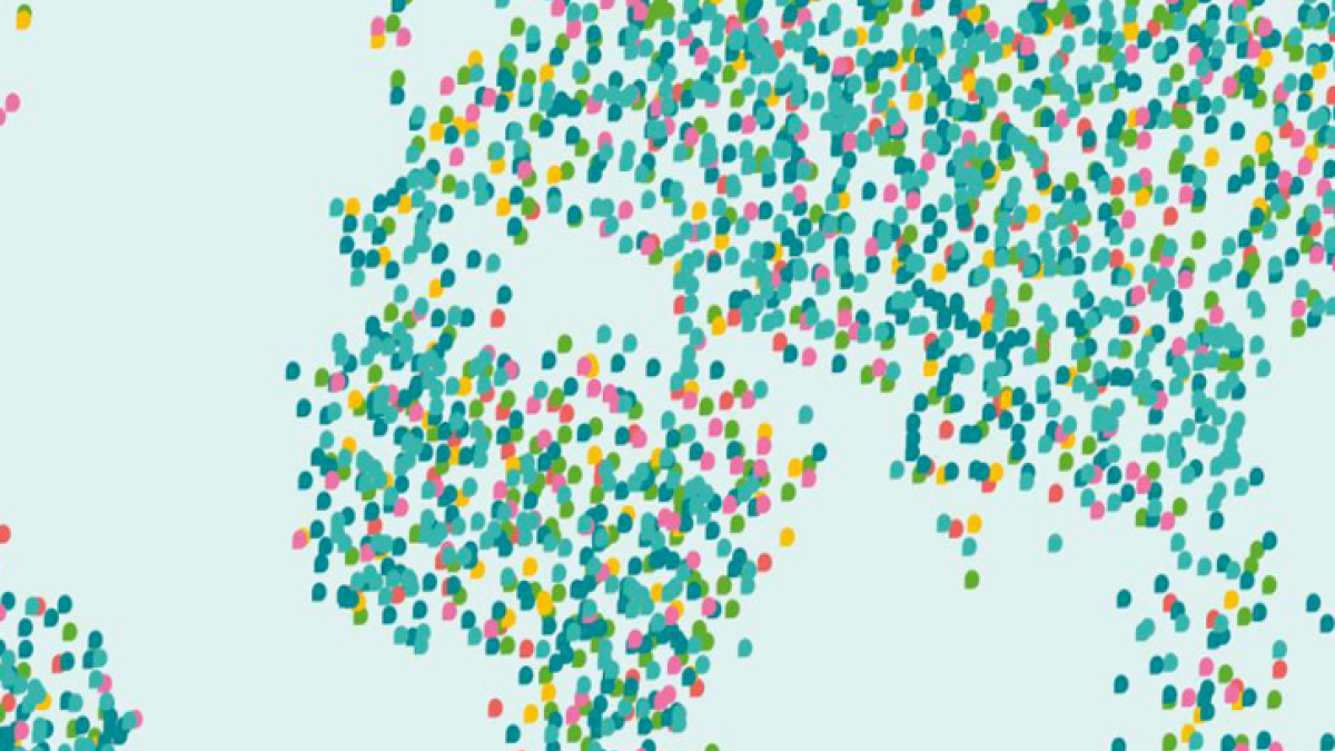 UNDP joins the social investment coalition
