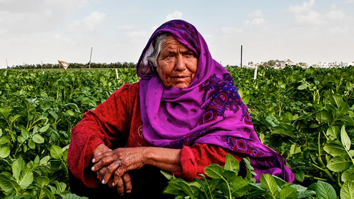 UNDP’s SDG Finance in the Arab States