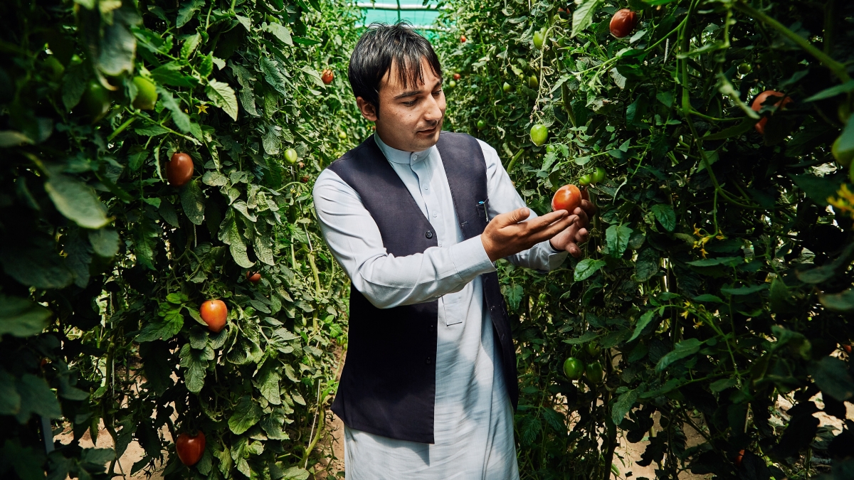 UNDP-Afghanistan-2016_climate_change_adaptation - PC UNDP Afghanistan S. Omer Sadaat (2)