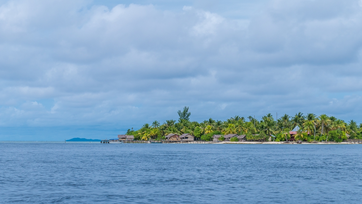 A landscape with a sea