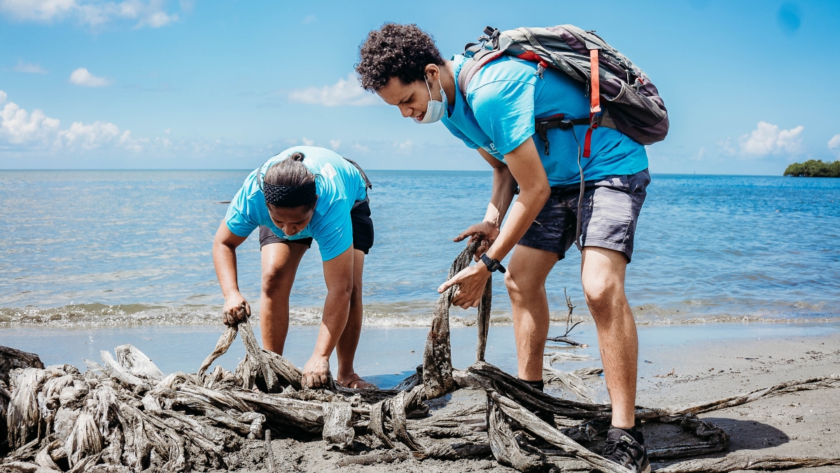People cleaning the beach