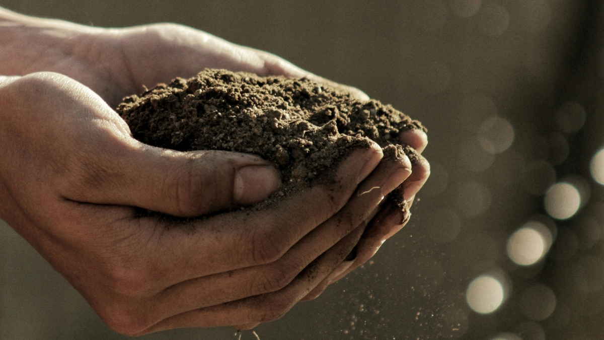 Hands with soil
