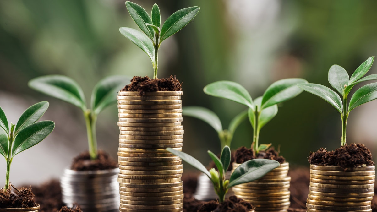 Shoots growing on piles of coins