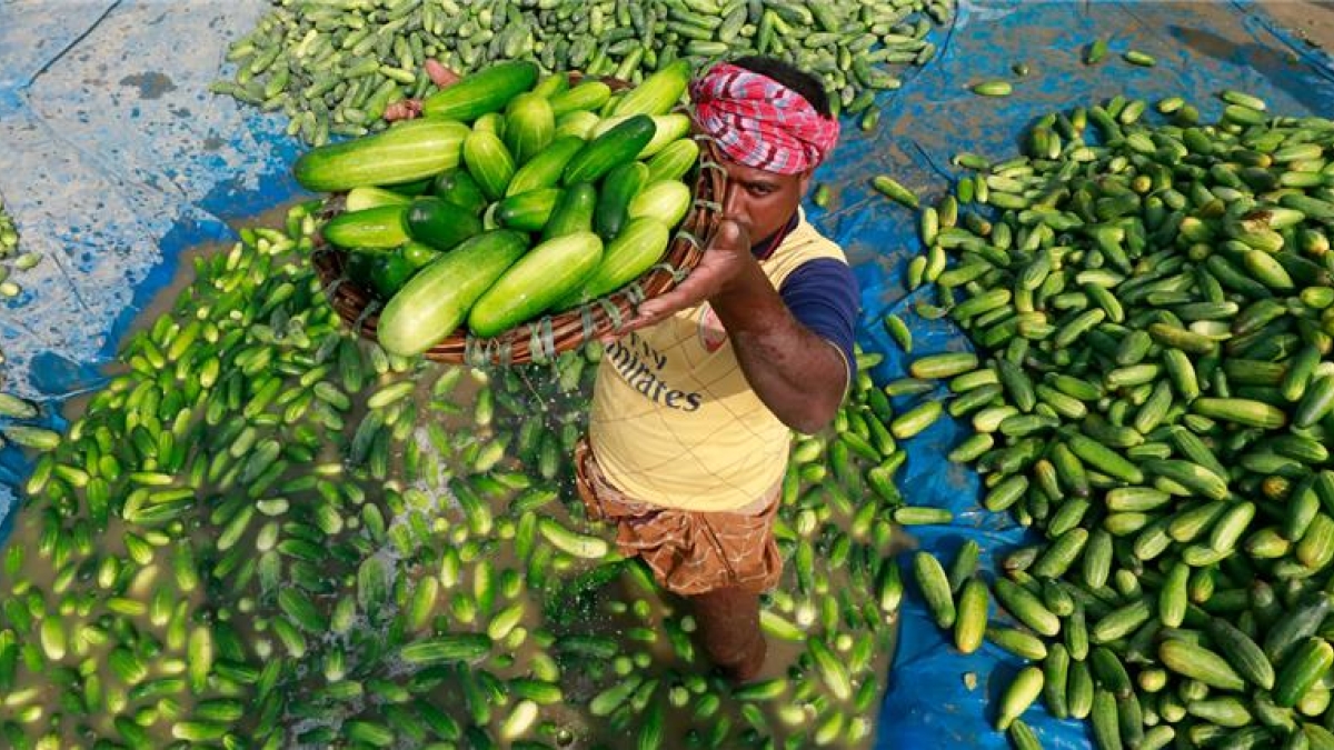Person carrying food