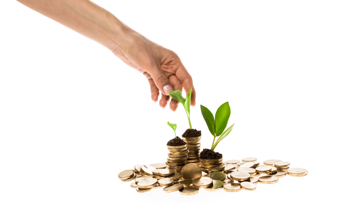 New shoots growing out of coins as a hand reaches for the leaves.