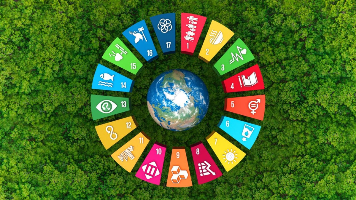 SDG colors and forest