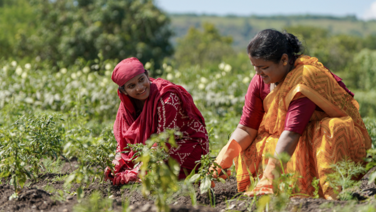 Women on a field