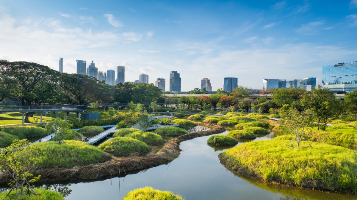 Landscape of a sustainable city