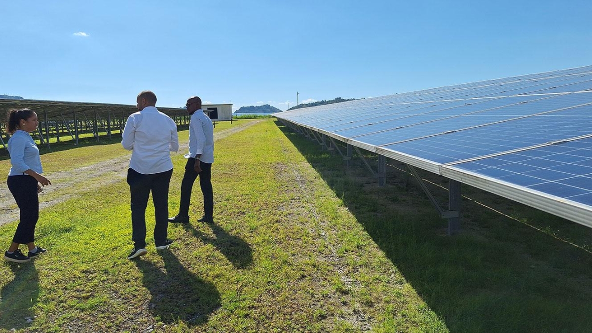 People and solar panels