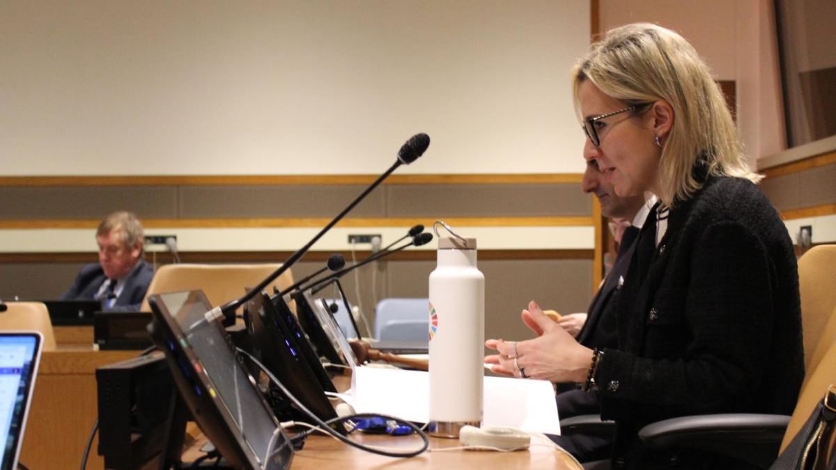 Sebnem Sener speaking