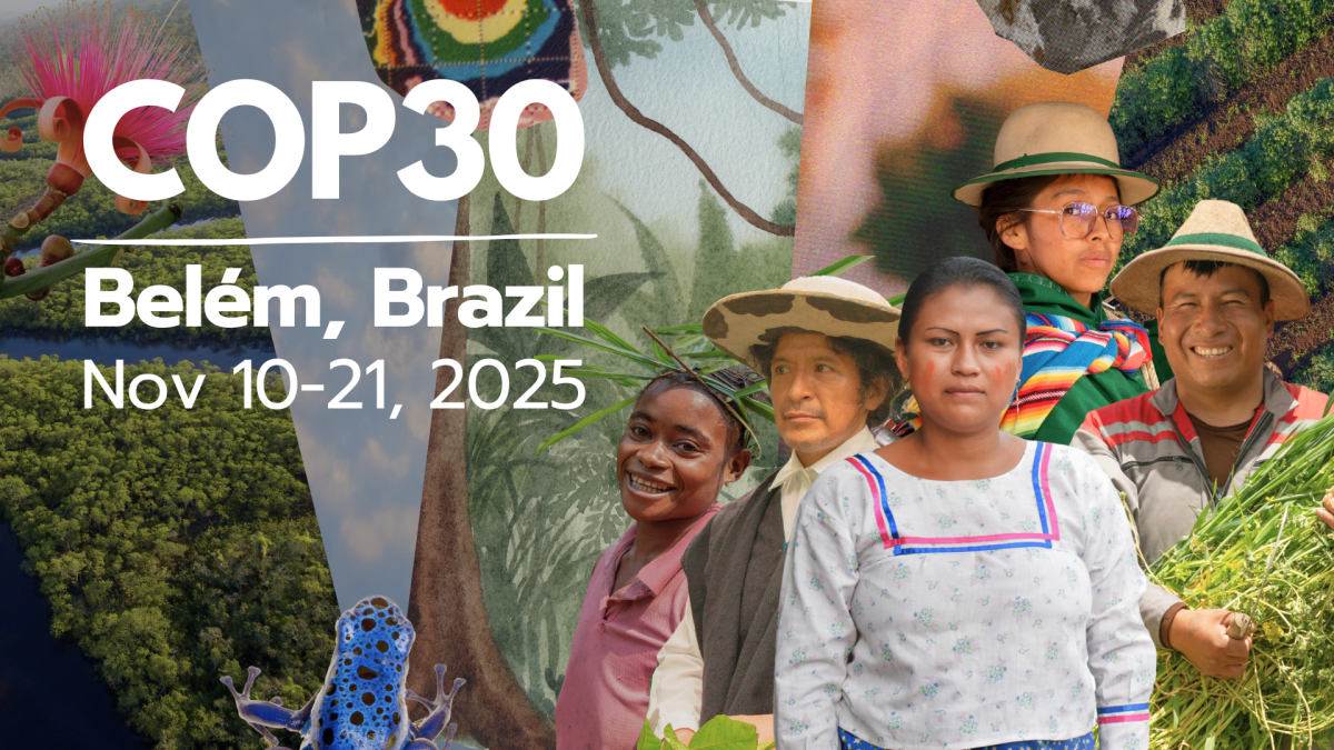 COP30 banner