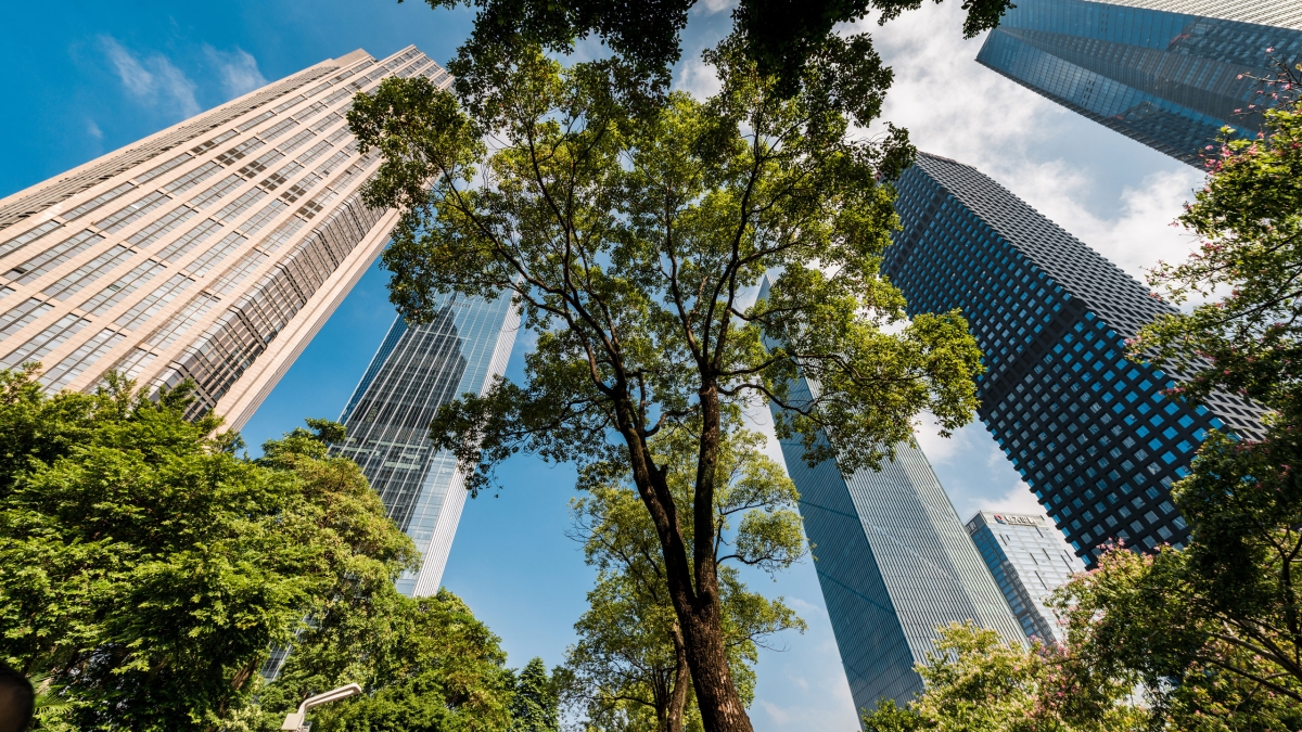 Image of skyscrapers surrounded by lush green trees