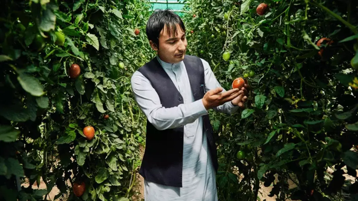 UNDP Sustainable Finance Hub