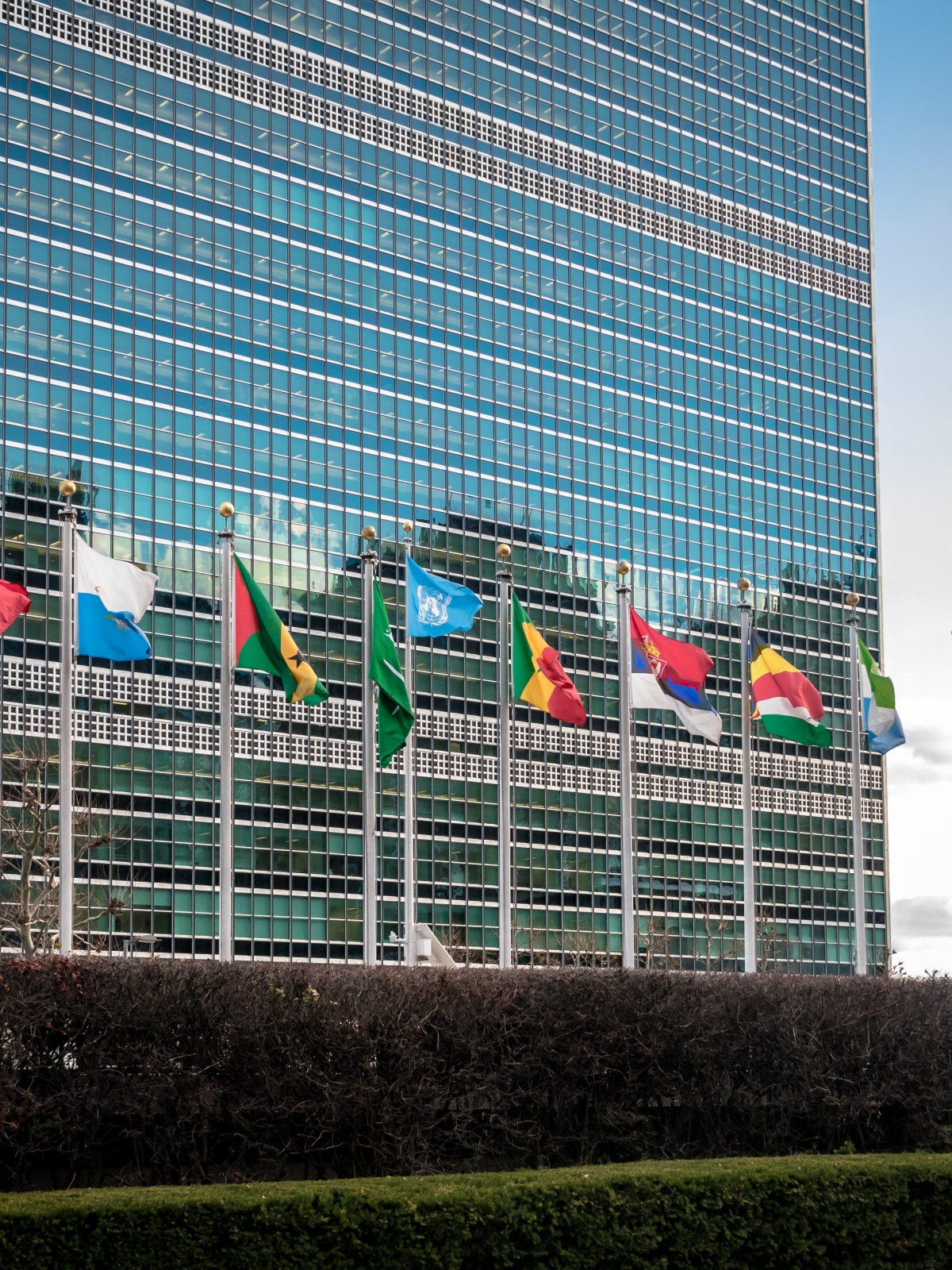 United Nations flags